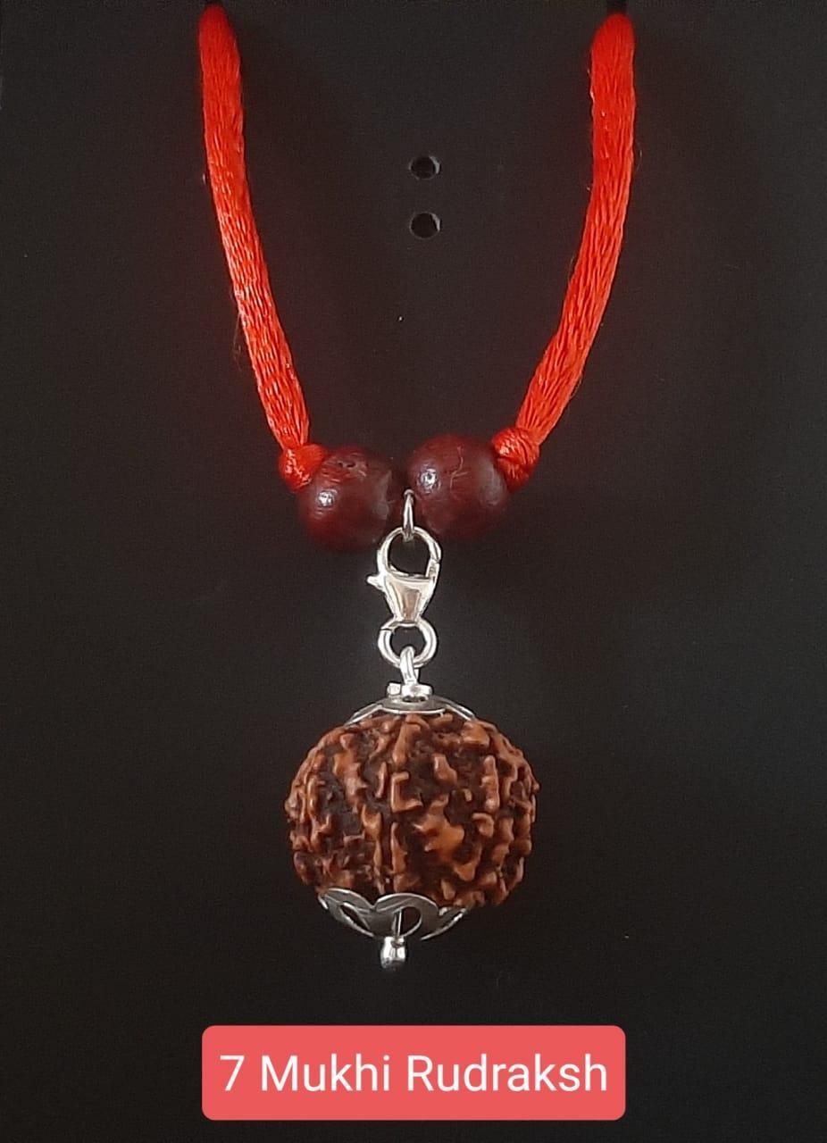 7 Mukhi ORIGINAL Rudraksha (Nepal)