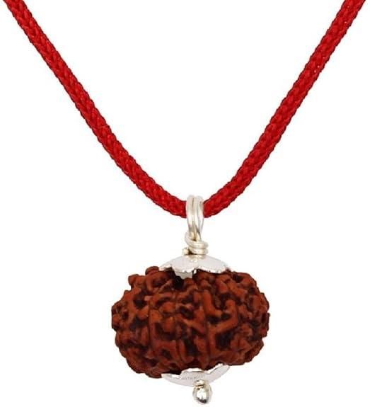 7 Mukhi ORIGINAL Rudraksha (Nepal)